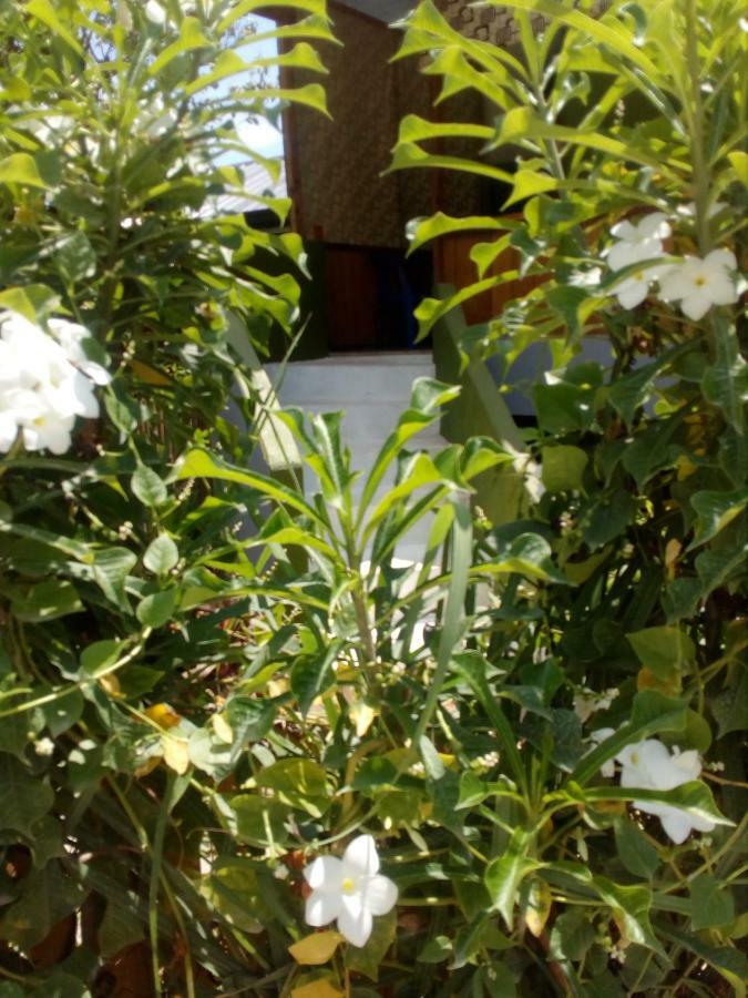 فندق Kwarto'S سيكويجور المظهر الخارجي الصورة